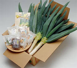 下仁田ネギ特産品セット（NK-30）