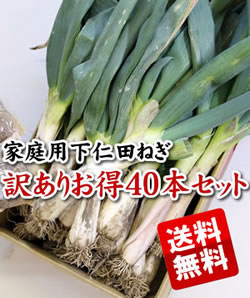 家庭用B級ネギ