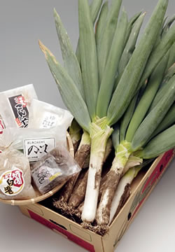 下仁田ネギ特産品セット(NK-30)