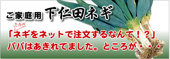 ご家庭用下仁田ネギ