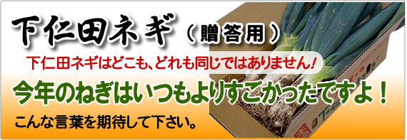 ご家庭用下仁田ネギ