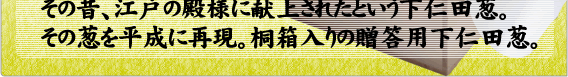 特選下仁田葱　殿様