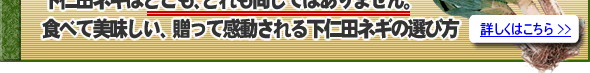 下仁田ネギの選び方