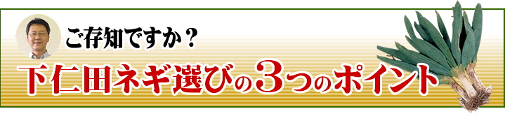 下仁田ネギ選びの3つのポイント