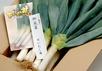 熨斗 無料でお付けします。