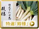 特選下仁田ネギ「殿様」