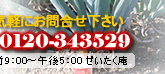 お気軽にお問合せ下さい。