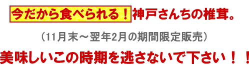 期間限定販売