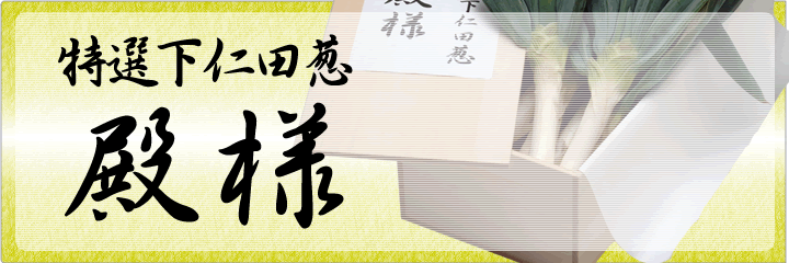 特選下仁田葱 殿様