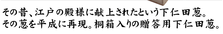 特選下仁田葱　殿様