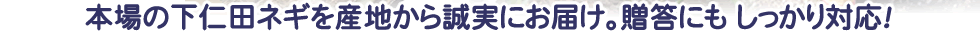 本場の下仁田ネギを泥付きで直送、贈答・お歳暮にもバッチリ対応！